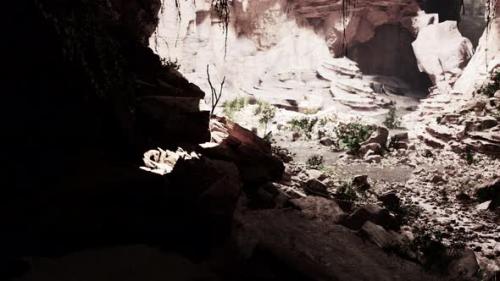 Videohive - The View Inside Fairy Cave with Plants - 42570065 - 42570065