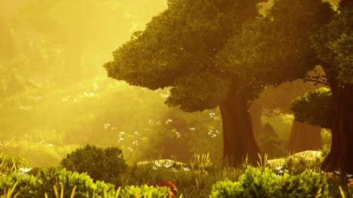 Videohive - Cartoon Flowering Green Forest on Sunset - 42570083 - 42570083