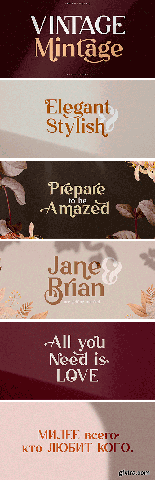 Vintage Mintage Font