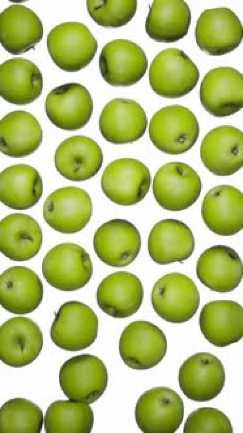 Videohive - Vertical Falling Green Apples on White - 42509328 - 42509328