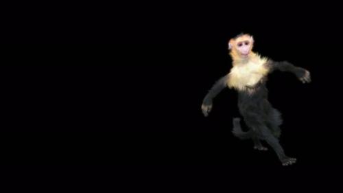 Videohive - 38 Monkey Dance 4K - 42557456 - 42557456