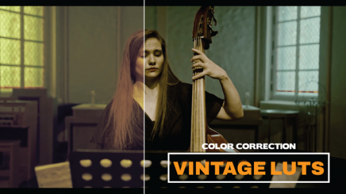 Videohive - LUTs Vintage - 42463184 - 42463184