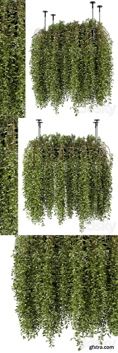 Indoor Hanging Plants in Metal Box – Set 192