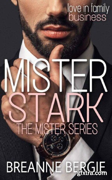 Mister Stark  A Billionaire Age - Breanne Bergie