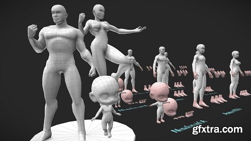 Base Meshes Character Starter Kit + Rig 3D Model