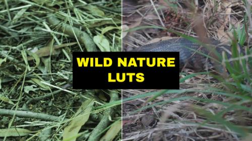 Videohive - LUTs Wild Nature - 42168827 - 42168827