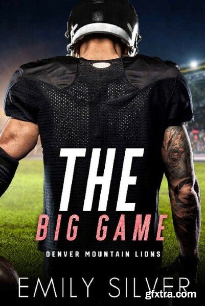 The Big Game  A Denver Mountain - Emily Silver