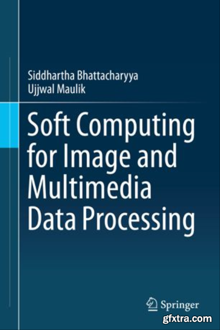 Soft Computing for Image and Multimedia Data Processing