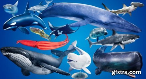 Unreal Engine Marketplace - Ocean Animals MEGA Pack (4.16 - 4.27)