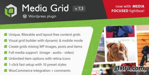 Codecanyon - Media Grid - Wordpress Responsive Portfolio Plugin v7.3.2 - 2218545 - Nulled