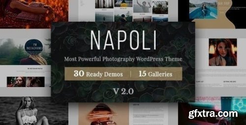 Themeforest - Napoli Photography WordPress v2.3.0 - 17963846 - Nulled
