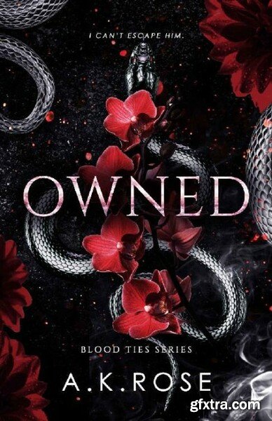 Owned Blood Ties Book 4 - A K  Rose