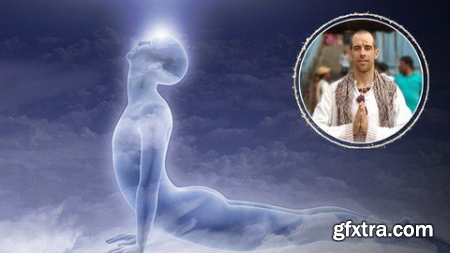 Prana Vidya Level 1 Learn The Yoga Science Of Prana Healing