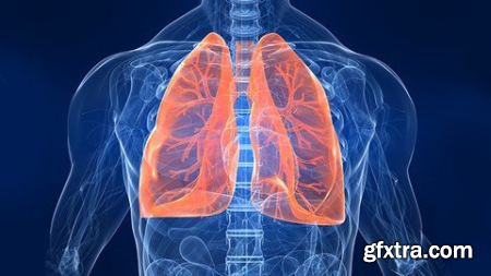 Respiratory System - Important Medications And Diseases