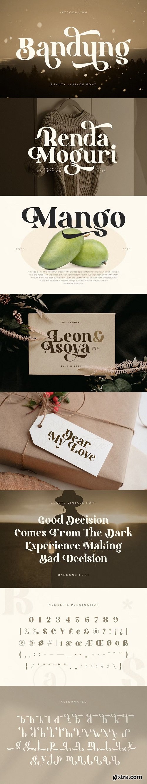 Bandung - Beauty Vintage Ligature Font