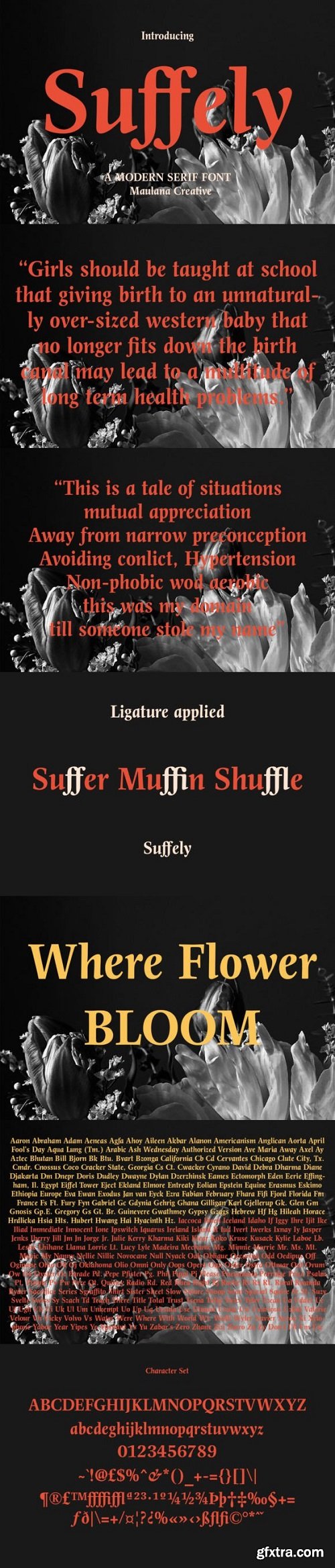 Suffely Font