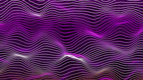 Videohive - multicolor trendy geometric line wave animated. Futuristic colorful wireframe wave. Vd 137 - 42646688 - 42646688