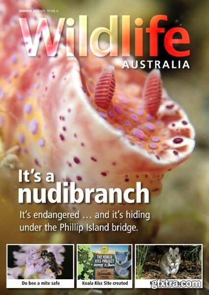 Wildlife Australia - Summer 2022