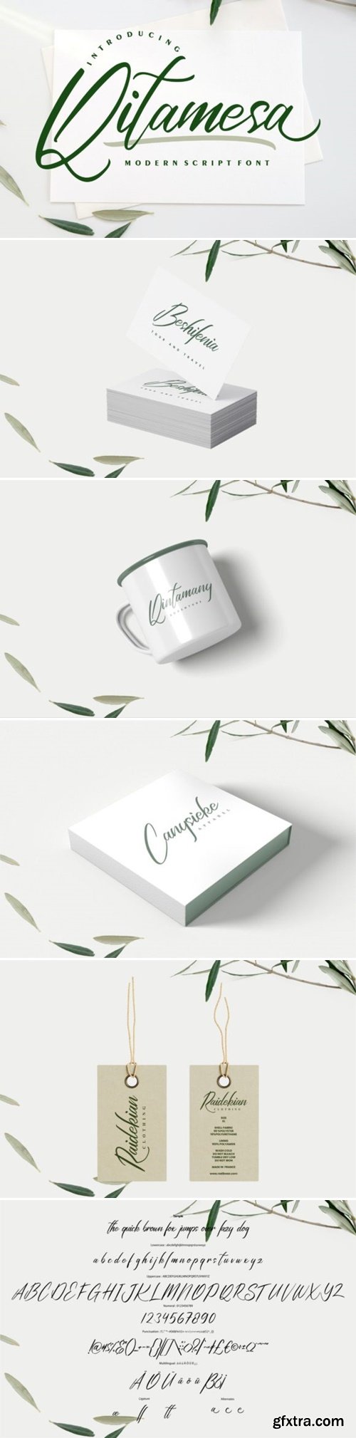 Qitamesa Script Font