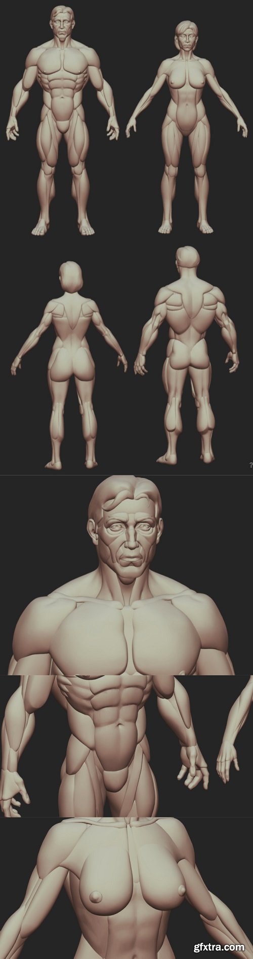 Man and Woman base shapes figures