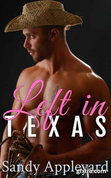 Left in Texas - Sandy Appleyard