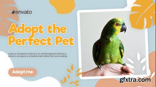 Videohive Adopt Pet Promo 42800787