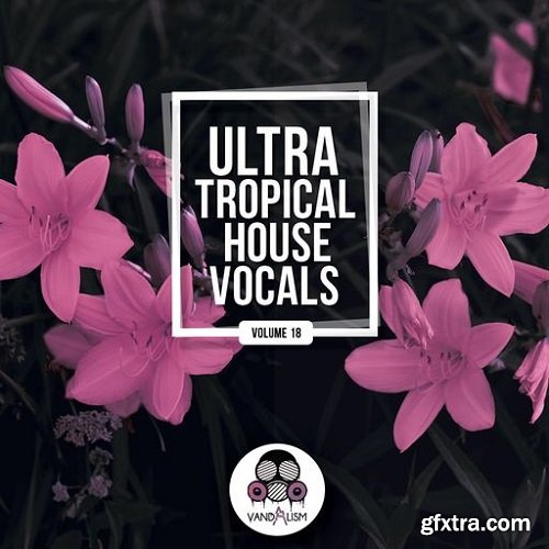 Vandalism Ultra Tropical House Vocals 18