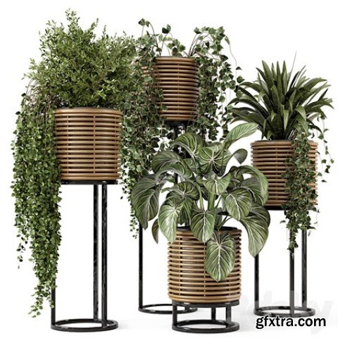 Indoor Plants in natural rattan Pot on Metal Base – Set 592