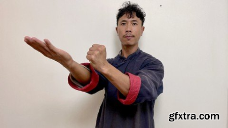 Wing Chun Sil Lim Tao (Siu Nim Tau) First Form Advanced