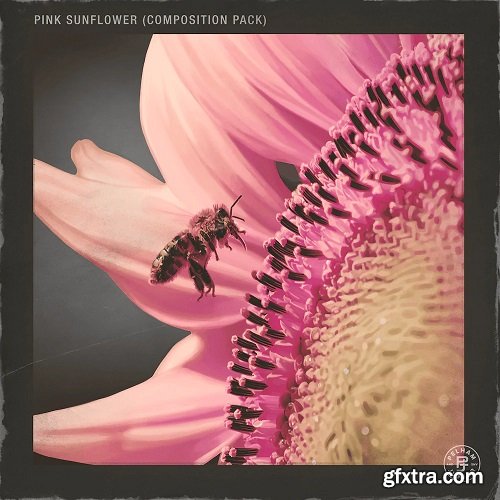 Pelham and Junior Pink Sunflower Vol 1 (Compositions and Stems)