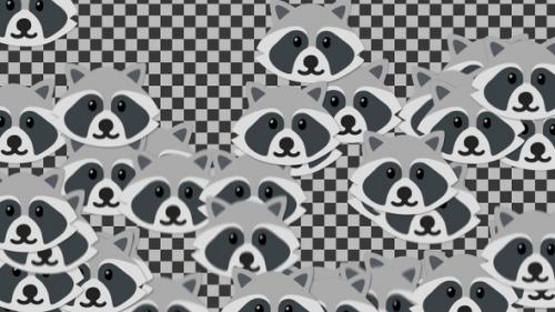 Videohive - Emojii Raccoon Transition | UHD | 60fps - 42784113 - 42784113