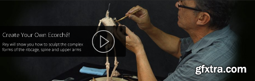 New Masters Academy - Build Your Own Ecorché | The Vertebrae, Thorax, and Humeri with Rey Bustos