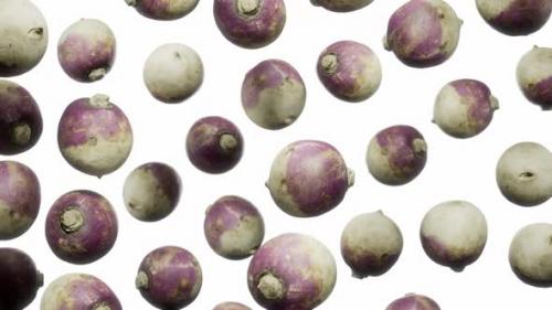 Videohive - Seamless Floating Turnips on White - 42765881 - 42765881