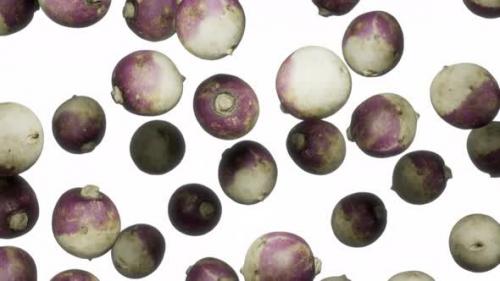 Videohive - Endlessly Falling Turnips on White - 42765890 - 42765890