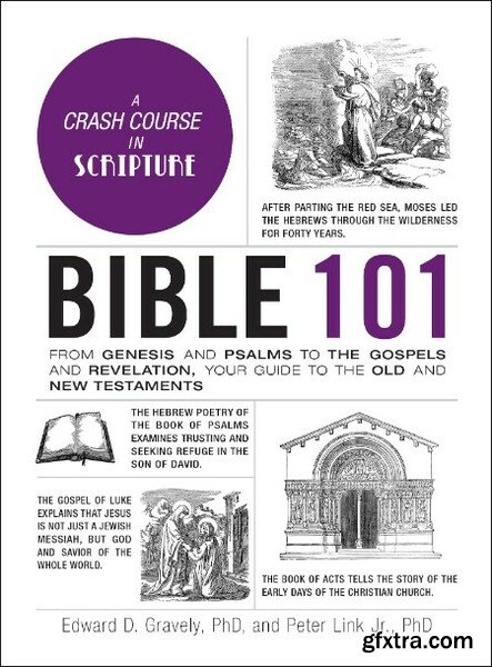 Bible 101 by Dr  Edward D  Gravely