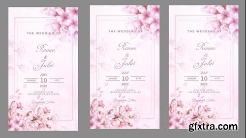 Videohive Wedding Instagram Stories 42853503