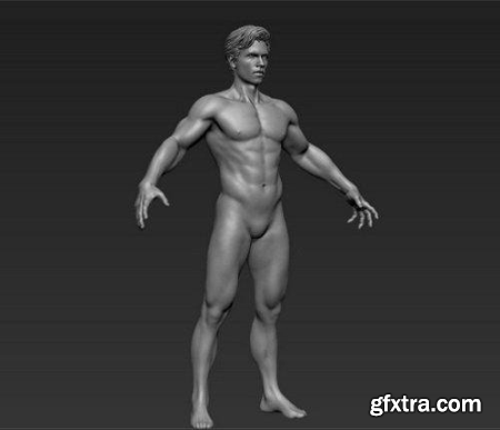 ArtStation – Man Realistic Sculpt – 3D Model