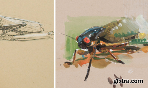 New Masters Academy - Drawing Insects, Tropical Animals, and Color Demonstration with Charles Hu