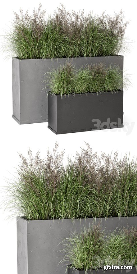 Outdoor Plants Bush in rusty Concrete Pot – Set 565