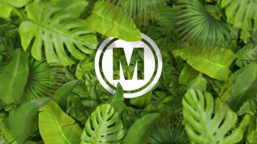 MotionArray - Nature Logo - 1056395