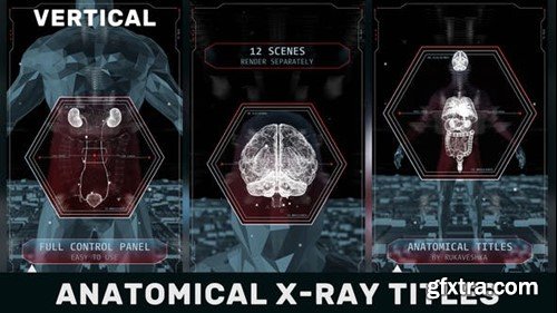 Videohive Anatomical X-Ray Titles Vertical 42887575