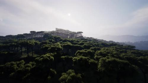 Videohive - Flying Over the Fields Covering the Vast African Landscape - 42928845 - 42928845