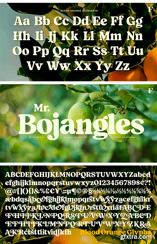 Blood Orange Font