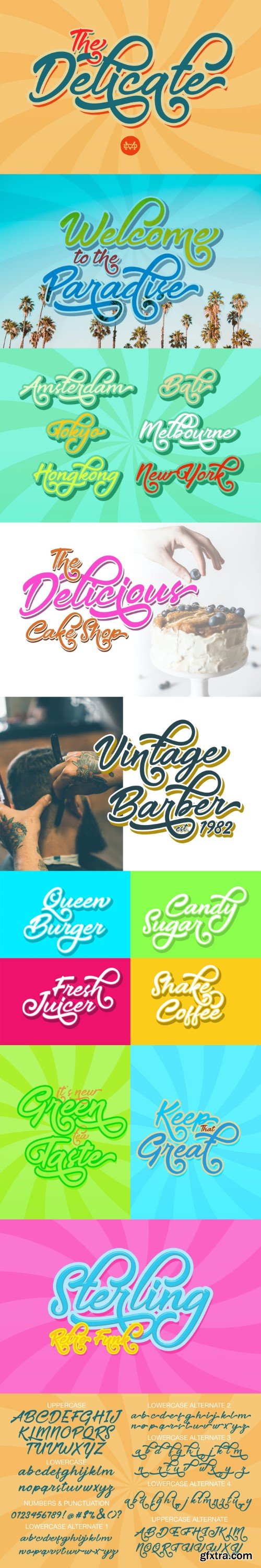 Delicate Script Font