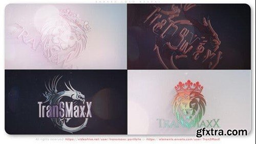 Videohive Shaped Logo Reveal 42930672