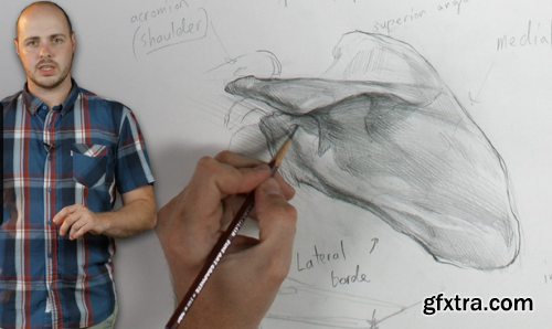 New Masters Academy -  How to Draw the Skeletal Neck & Shoulder Girdle with Iliya Mirochnik