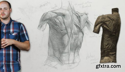 New Masters Academy -  How to Draw the Muscles of the Neck with Iliya Mirochnik