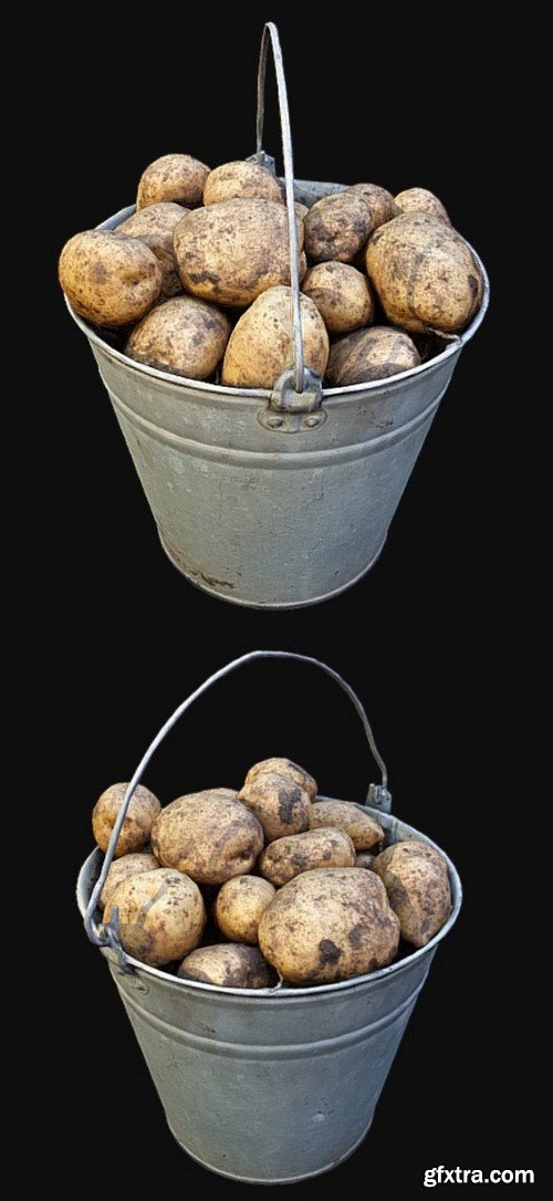  Bucket Of Potatoes