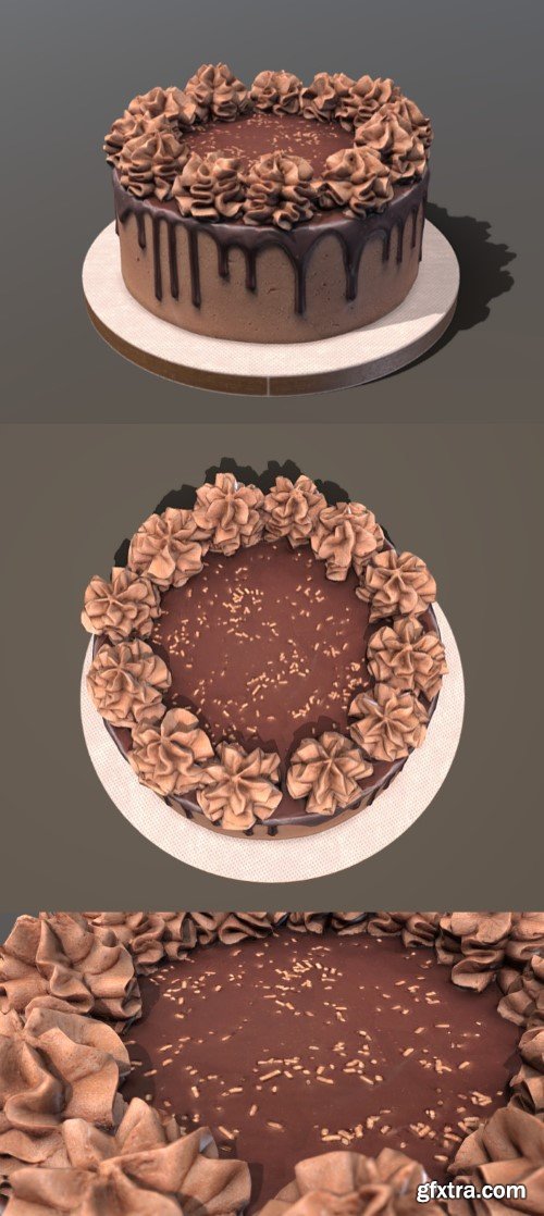 Chocolate Gateau 3d model