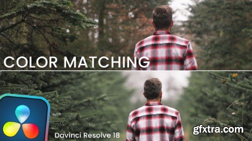 Color Grading to Match Colors Between Two Clips